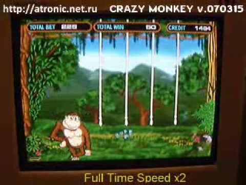 Игра рулетка обезьяна