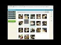 How to Use Animoto