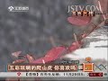 奇闻异事 五彩斑斓的爬山虎 你喜欢吗? 131130