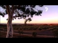 Sydney Weekender explores Extra Virgin Olive Oil Processing at Fedra Olive Grove in Collector, NSW