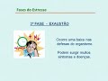 Fases do Estresse