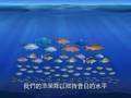 世界自然基金會 - 拯救海洋大行動