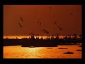 Musique Africaine Relaxante - Africa Music Relax.