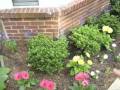 Patio & Flower Garden Udate - Video #3 In Lemonette's 12 Steps in May
