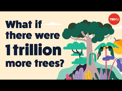 TED-Ed. What if there were 1 trillion more trees? (Jei medžių būtų dar vienu trilijonu daugiau?)