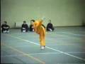 Shaolin Yin Shou Gun por Shi DeJun