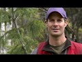 Mineral Exploration Geologist
