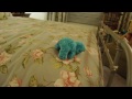 Vid A Week #4 - My Beige Bear Music Video