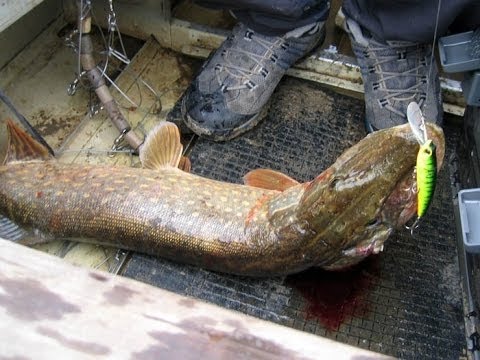 рыбалка в исадах рязанская область рыбалка в исадах рязанская область