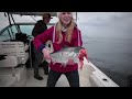 Fighting a Seal while Salmon and Halibut Charter Fishing Tofino