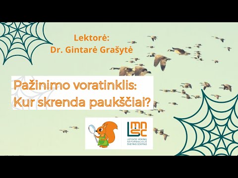 LMNŠC nuotolinių gamtos pamokų ciklas „Pažinimo voratinklis“. Kur skrenda paukščiai?