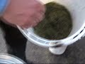 Pellets made from Grass