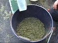 Pellets made from Grass