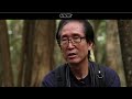 Suicide Forest in Japan