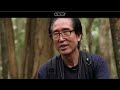 Suicide Forest in Japan
