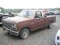 1981 Ford F100 Custom Start Up, Engine, and In Depth Tour