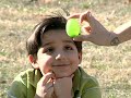 How To Arrange an Easter Egg Hunt