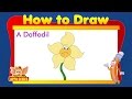 Learn to Draw Flower - Daffodil