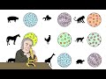 The wacky history of cell theory - Lauren Royal-Woods