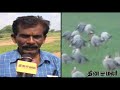 Dinamalar News Dated Nov 24th 2013 Tamil Video News Bulletin 4pm Tamil News