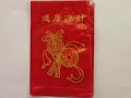 The Chinese Spring Festival in Paris by Jing Wang (sequel)