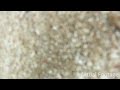 Lost GoPro HD Hero Cam found after 2.5 months at Sea.mp4