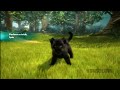 Kinectimals Gameplay | HD