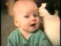 gatti matti video comico DA RIDERE