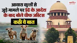 आवारा कुत्तों से जुड़े मामले पर SC के आदेश के बाद बोले चीफ जस्टिस, कही ये बात
