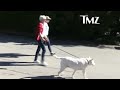 Amanda Bynes -- Fit to Walk the Dog ... After Leaving Rehab