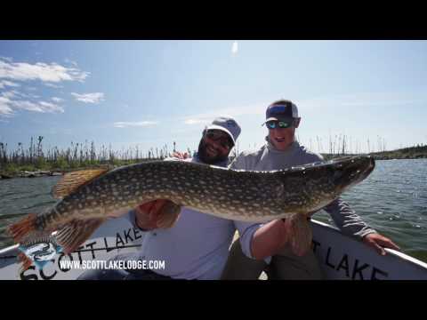 drone view flyfishing for giant northern pike