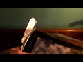 Tablet Ownership Survey Results and Another Survey!
