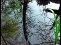 I trent'anni del Parco