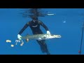 WettieTV - Interpacific Spearfishing Champs 2013