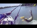 Alligator Gar Fishing