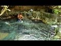Krabi Things to Do? Hot Stream! - Thailand