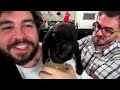 Acapulco - O Drink Bom Pra Cachorro!
