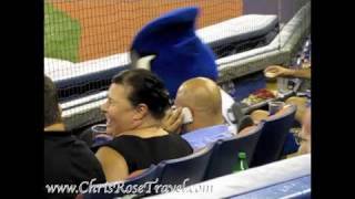 Ace on the dugout, Toronto Blue Jays mascot Ace sits on t…