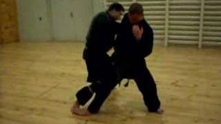 Kamae Taijutsu