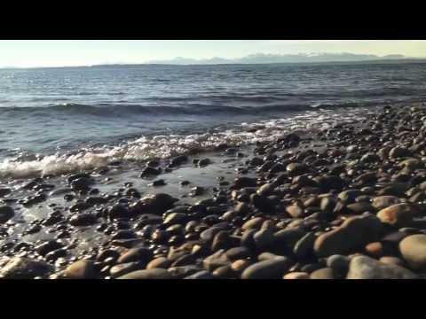 Ocean Acidification and the People of Washington State [video]