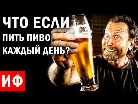 Что будет, если пить пиво каждый день Что будет, если пить пиво каждый день