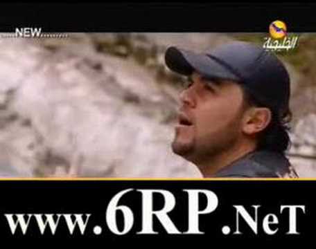 wafeek habib report