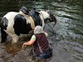 Horse and Rider have Fun in the River