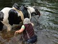 Horse and Rider have Fun in the River