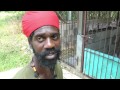 Jamaica 2013 Rasta Vapor Chalice