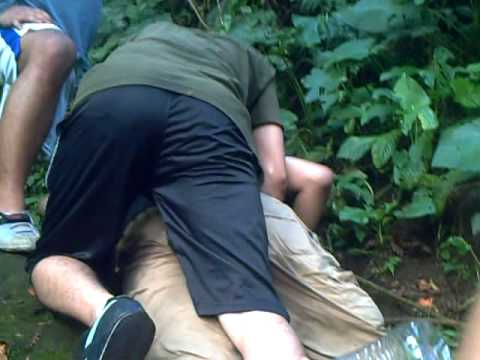 Mesum di hutan