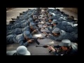 Central Intelligence Agency Cash Payments To Afghanistan