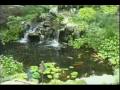 Ponds waterfalls landscaping designs Deck and Patio Company, Long Island, NY
