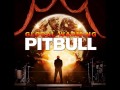 Posisi Pitbull Ft. Danny Mercer - Outta Nowhere chart lagu