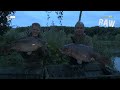NASH TV : RAW! ALAN BLAIR & KEVIN NASH - DOUBLE TAKE - MIRROR & COMMON CARP - CARP FISHING VIDEOS